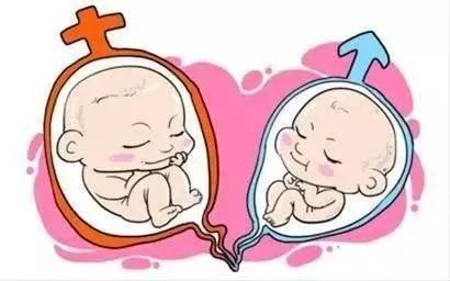 同性供卵代怀服务怎么收费
